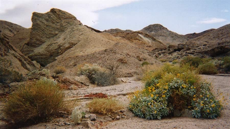 California Desert