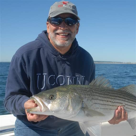 What's Happened to All the Striped Bass?