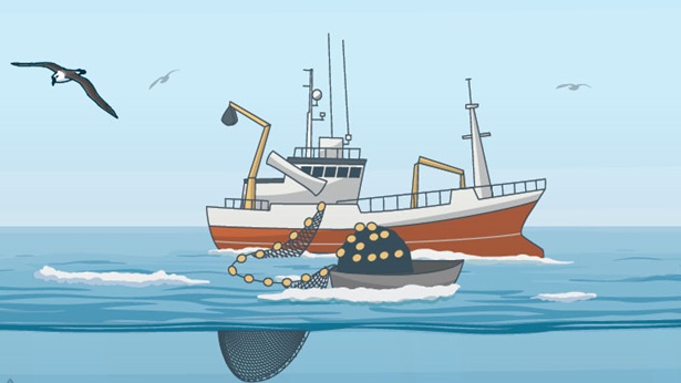 Timeline: Fisheries Management in North-Western European Waters