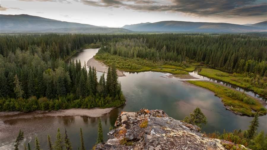 boreal forest