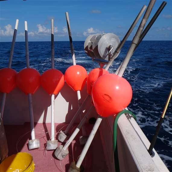 NSU Buoy Gear