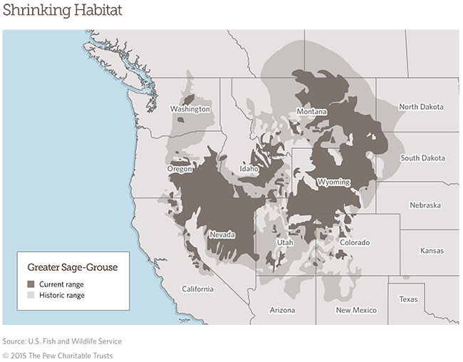 Shrinking Habitat