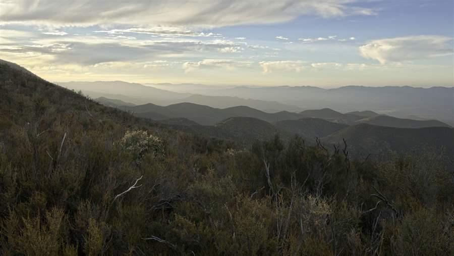 Central Coast