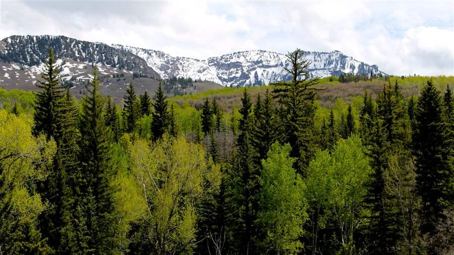 Mendicant Ridge West Elks