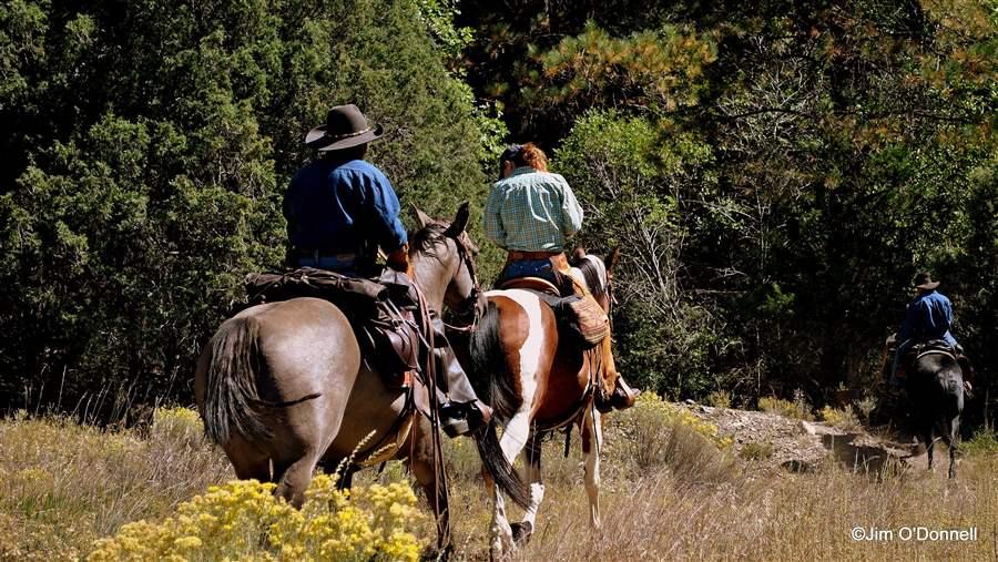 People riding horses in San Cristobal Canyon