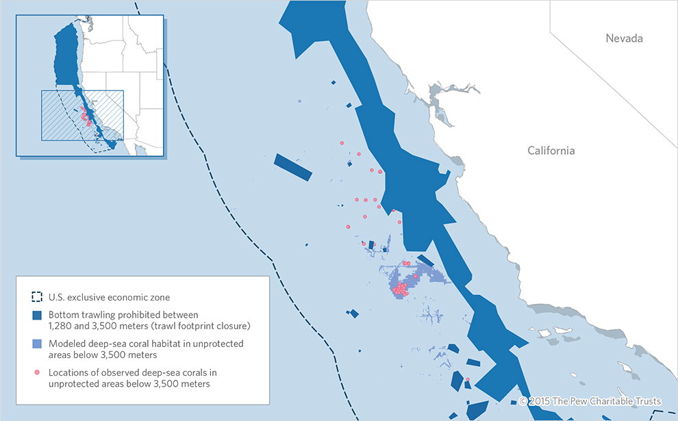 Let’s Protect Deep-Sea Ocean Floor Habitat Along the U.S. West Coast