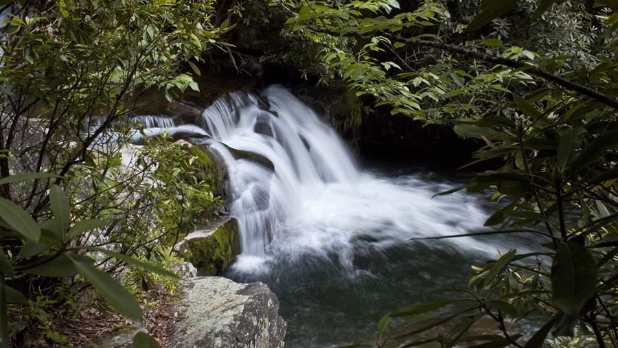 Joyce KilmerSlickrock Wilderness_Jeff Moore_Creative Commons2