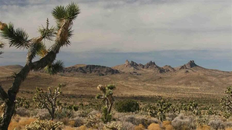 Castle Mountains