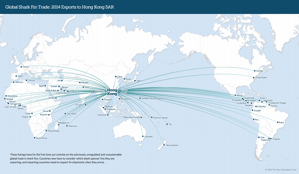 Global_Shark_Fin_Trade_990