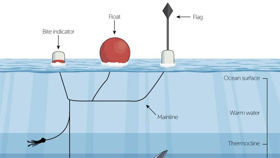 Deep-Set Buoy Gear: A Better Way to Catch Swordfish