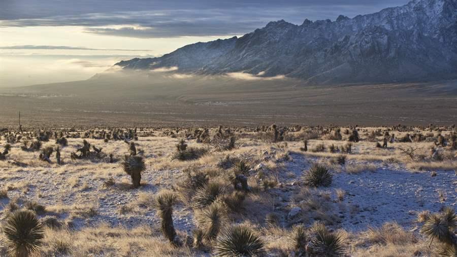 Organ mountains