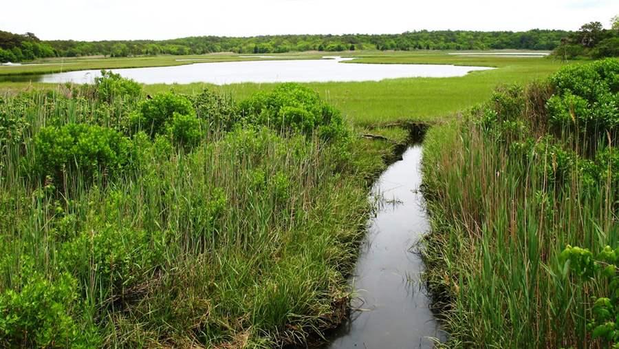 Waquoit Bay in Massachusetts