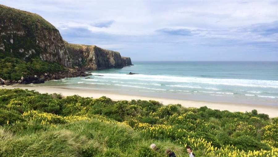 otago peninsula