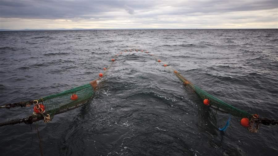 Fishing nets