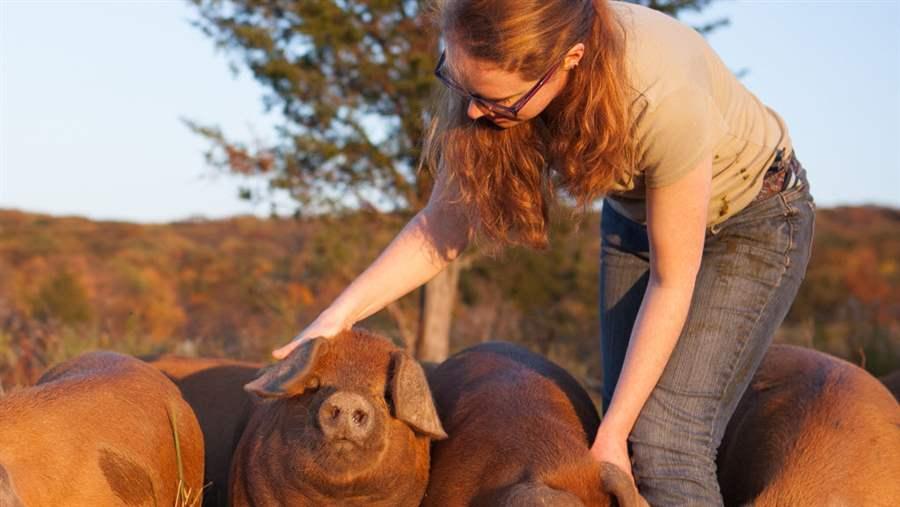 States are examining how to help more people enter agriculture