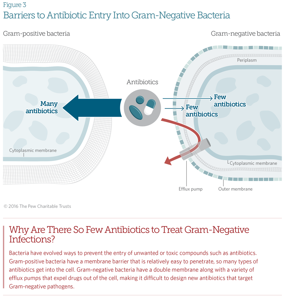 Antibiotics Graphics