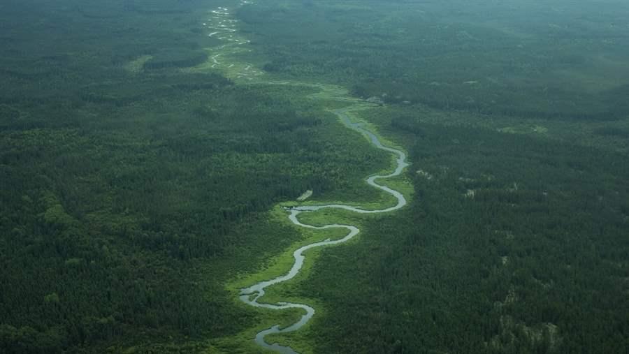 An aerial view of intact boreal forest in the proposed Pimachiowin Aki World Heritage site.