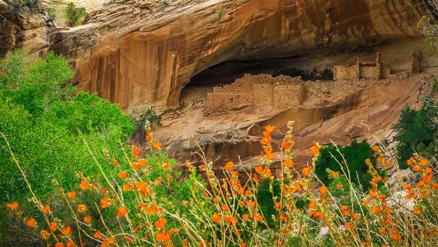 Bears Ears, Utah