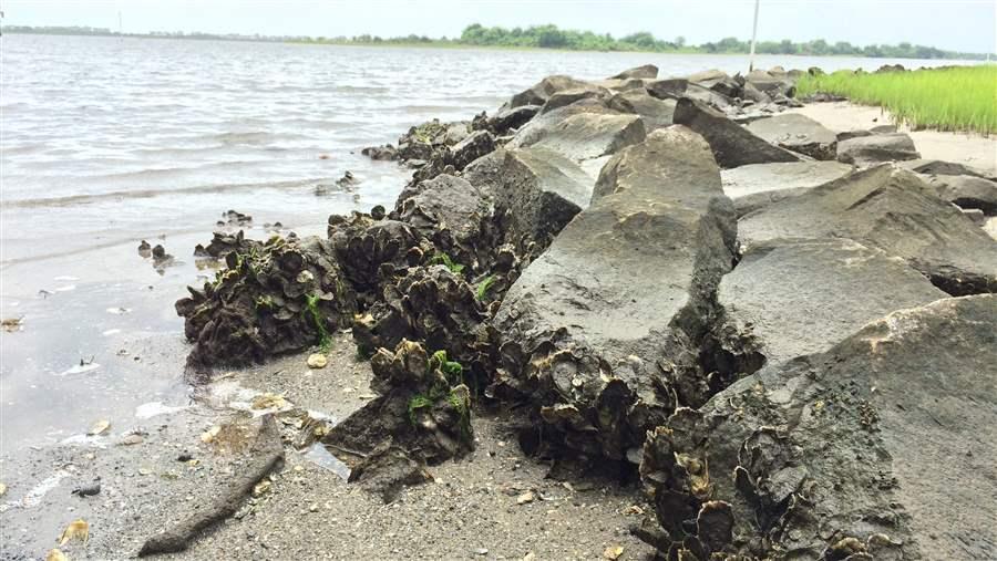 Natural coastal defenses are vital in storm protection efforts