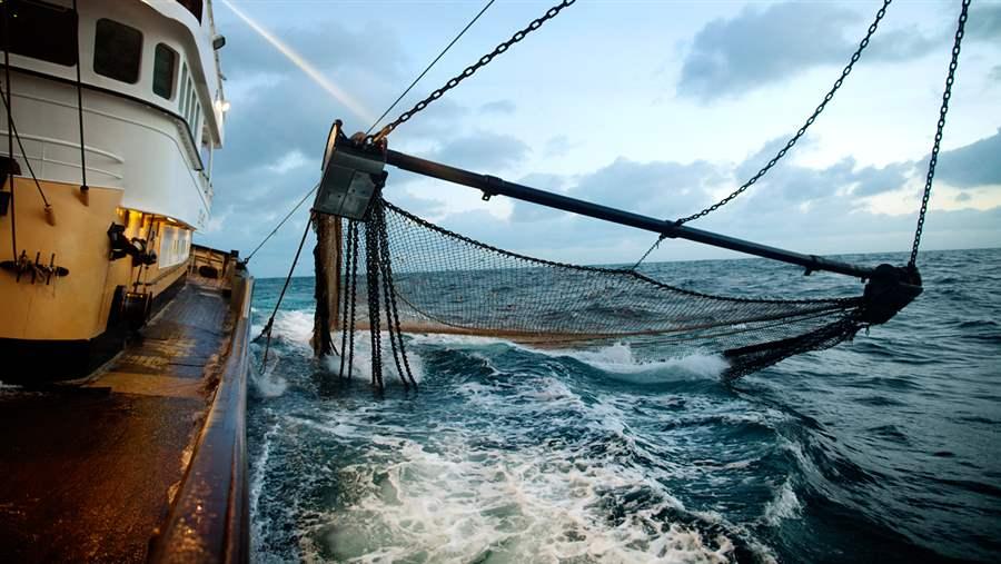 Fishing nets at sea, Netherlands