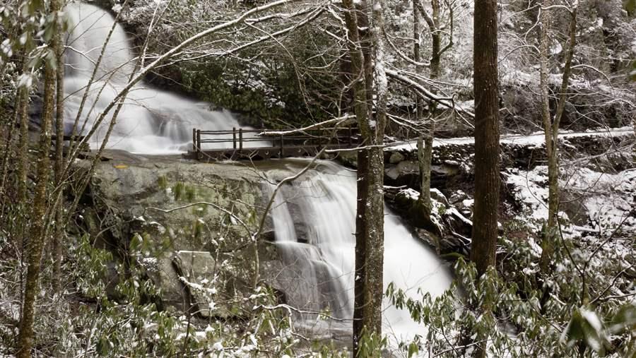 Laurel Falls Trail