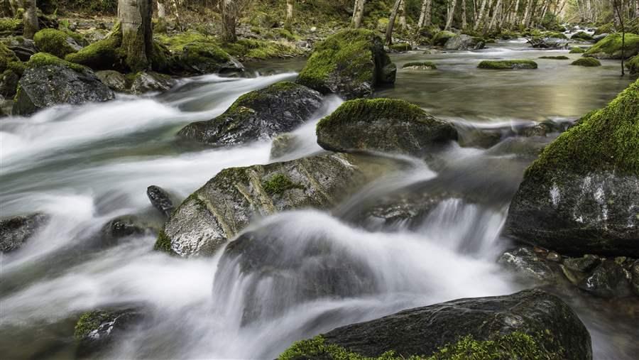 Rogue River area