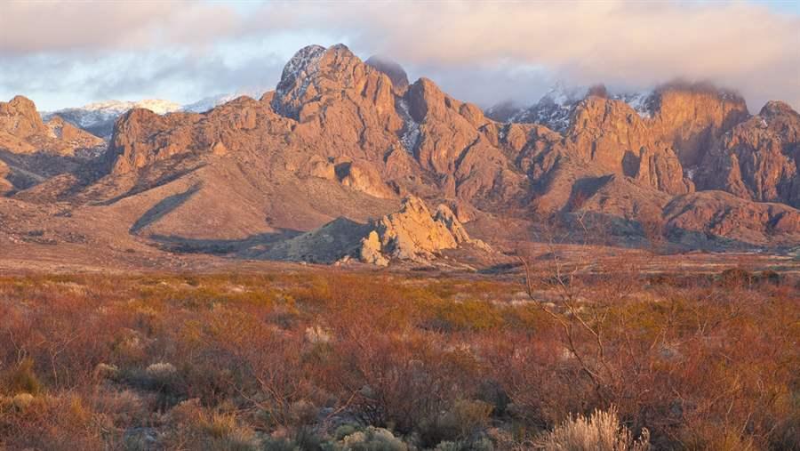 Organ Mountains