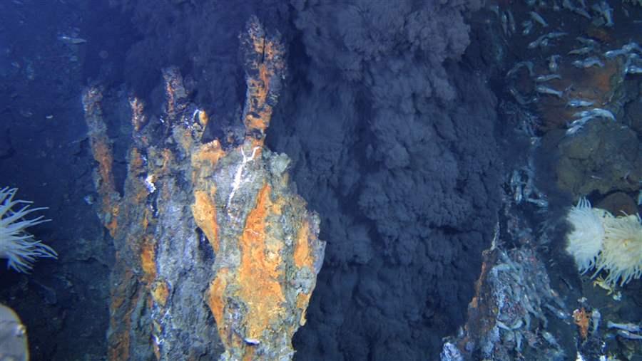 The international seabed contains rich mineral deposits