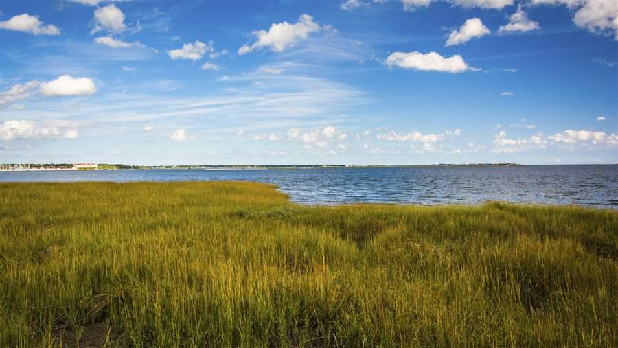 Natural shoreline defenses can help reduce erosion