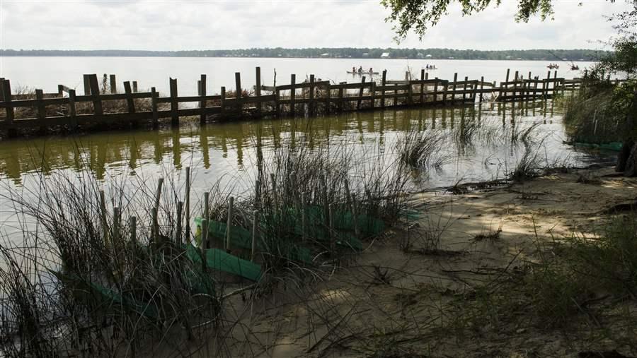 Living shorelines