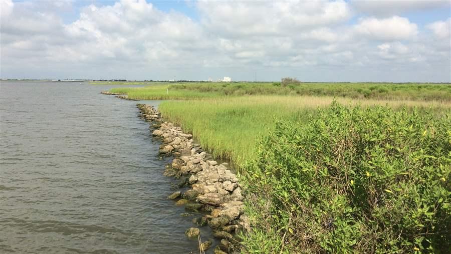 Living shorelines