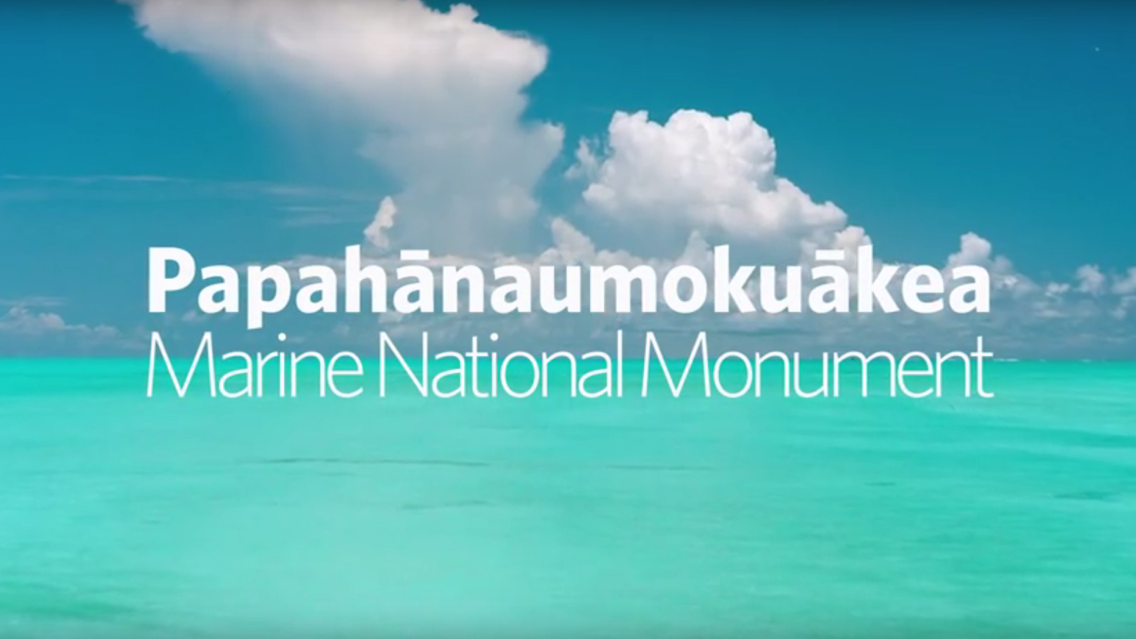 Hawaii’s Papahānaumokuākea Marine National Monument: History in the Making