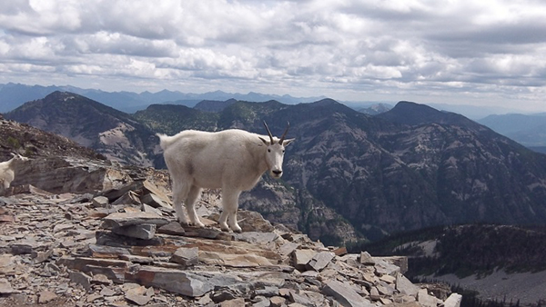 Scotchman Peaks