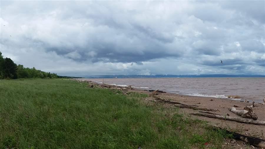 Living shorelines