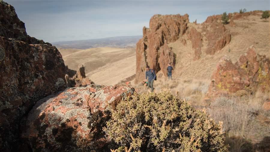 Owyhee