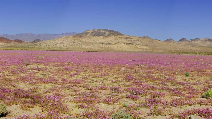 Kingston Range