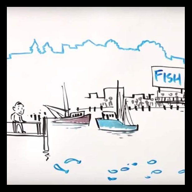 Overfishing in the EU