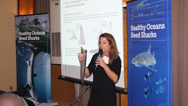 Healthy Oceans Presentation
