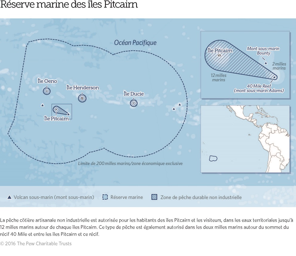 Réserve Marine Des îles Pitcairn The Pew Charitable Trusts