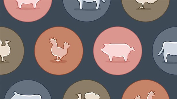 Drug label refinements for animal antibiotic use