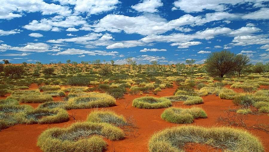 Australian Outback