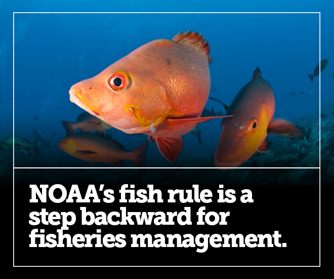 New NOAA rule