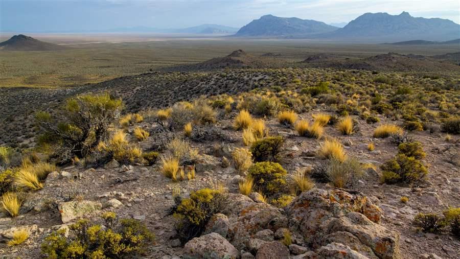 CSP Nevada