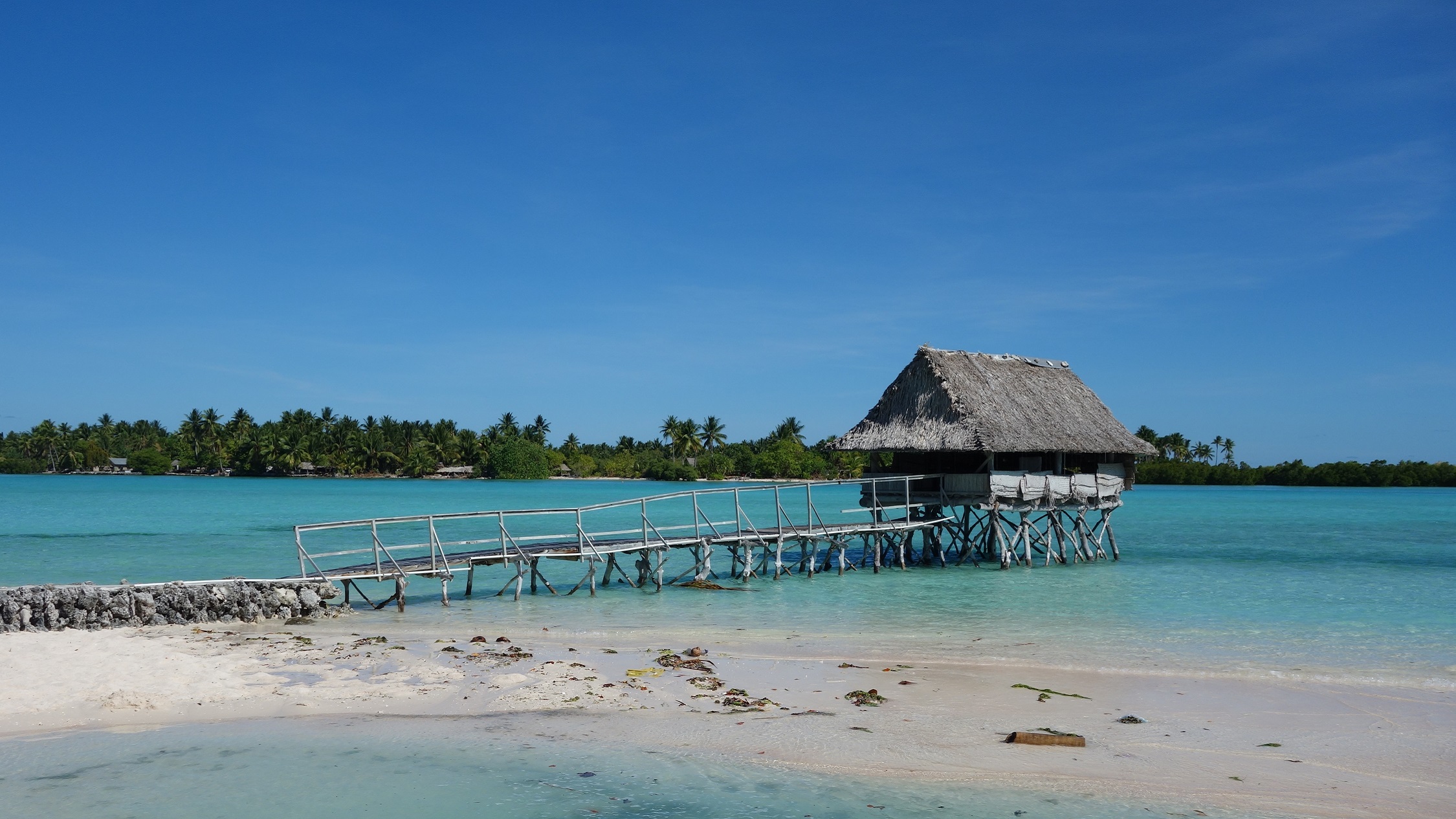 Kiribati shark sanctuary