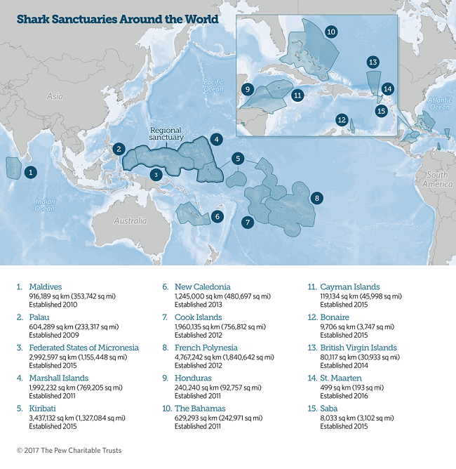 Shark sanctuaries around the world