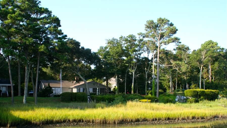 Living shoreline