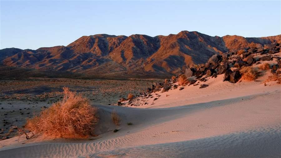 Five Reasons to Protect the California Desert | The Pew Charitable Trusts