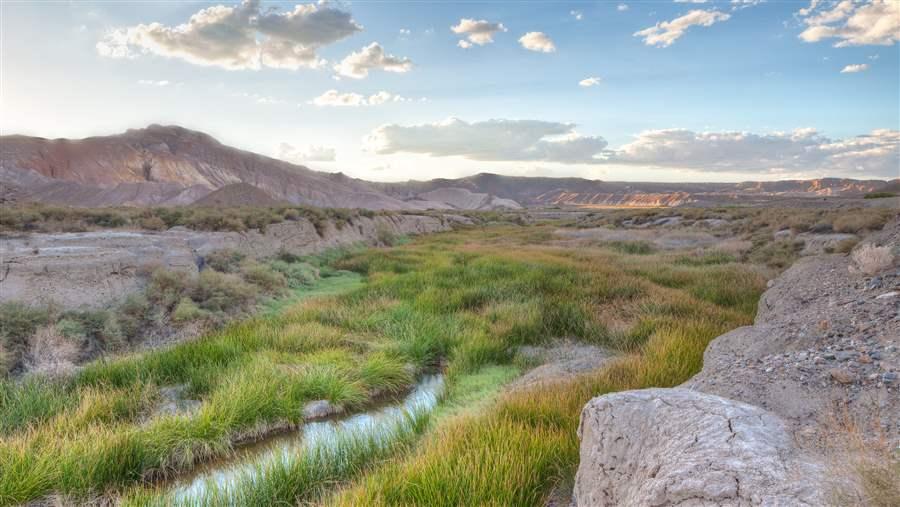 Amargosa River