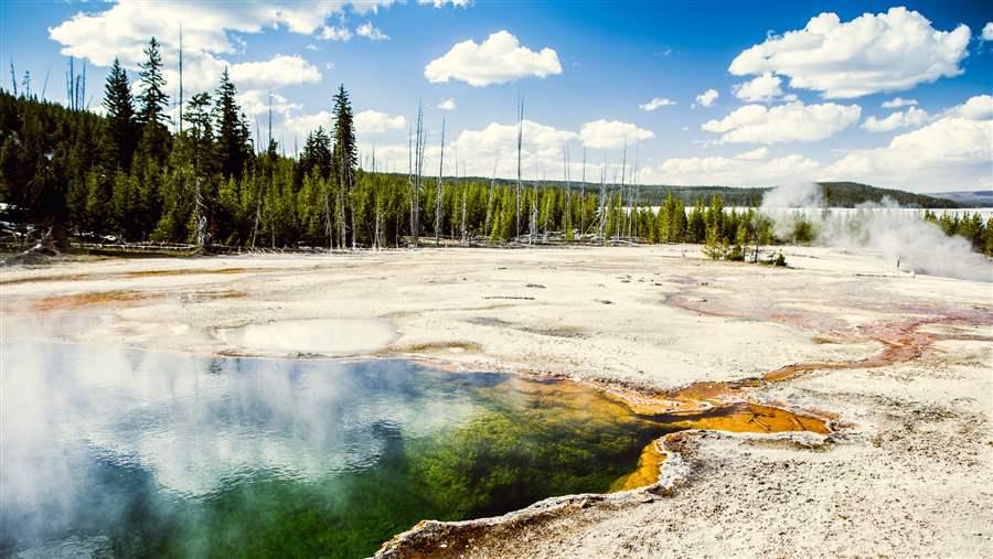 Yellowstone landscape