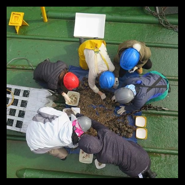 Seabed scientists